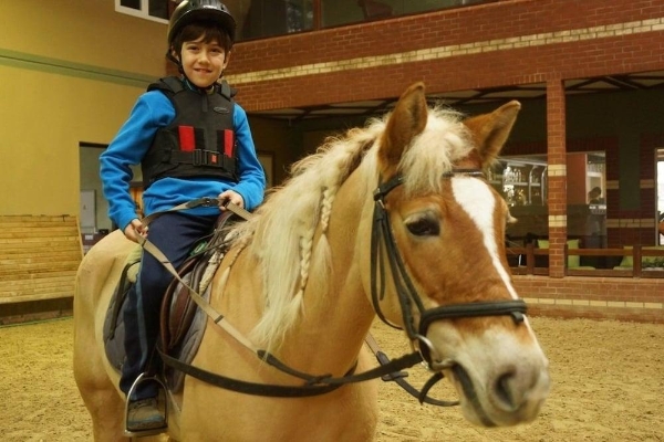 Padok Premium Hotel and Stables (Gökova)